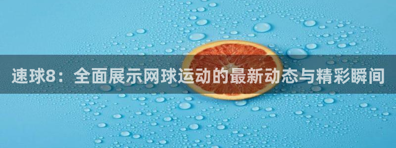 速球8：全面展示网球运动的最新动态与精彩瞬间