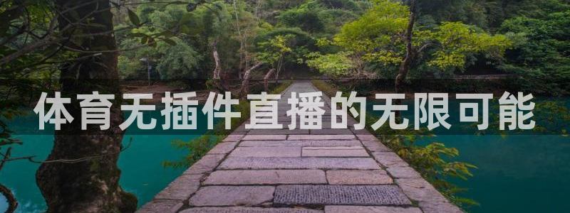 体育无插件直播的无限可能