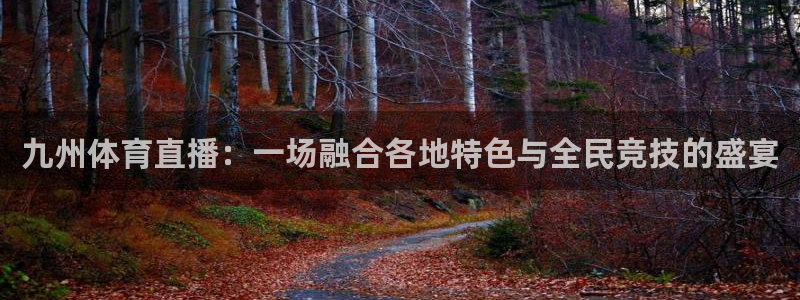九州体育直播：一场融合各地特色与全民竞技的盛宴