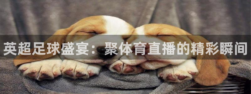 英超足球盛宴：聚体育直播的精彩瞬间