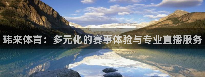 玮来体育：多元化的赛事体验与专业直播服务