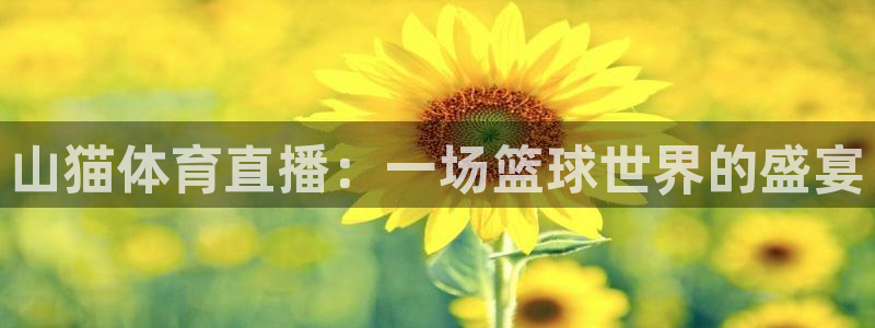 山猫体育直播：一场篮球世界的盛宴