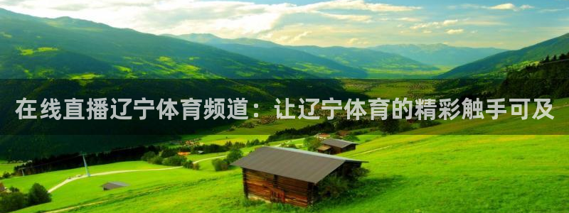 在线直播辽宁体育频道：让辽宁体育的精彩触手可及
