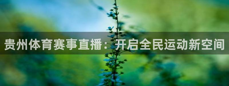 贵州体育赛事直播：开启全民运动新空间