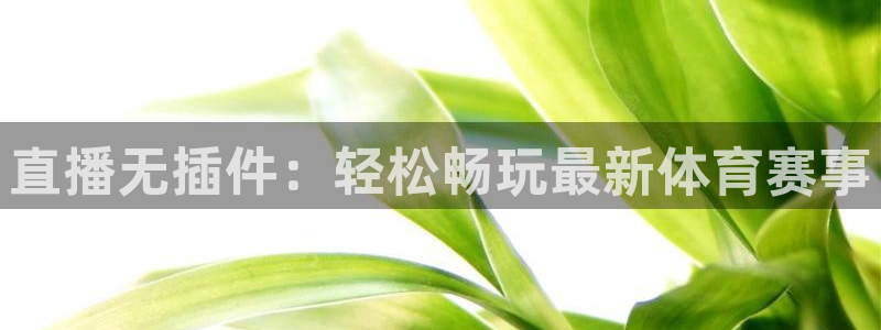 直播无插件：轻松畅玩最新体育赛事